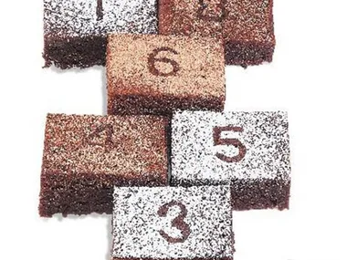 bonza brownies