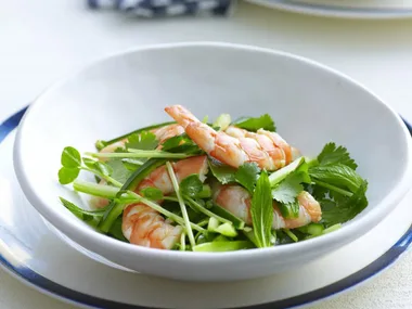 vietnamese cucumber and prawn salad