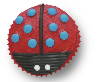 loretta ladybird