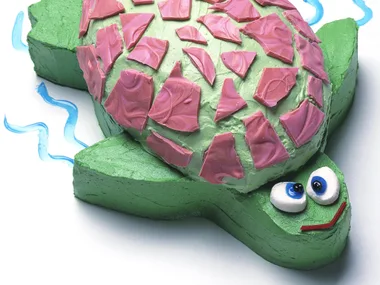 tropical turtle
