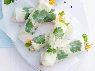 tuna rice paper rolls