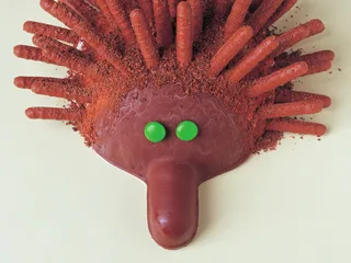 Echidna ice-cream cake