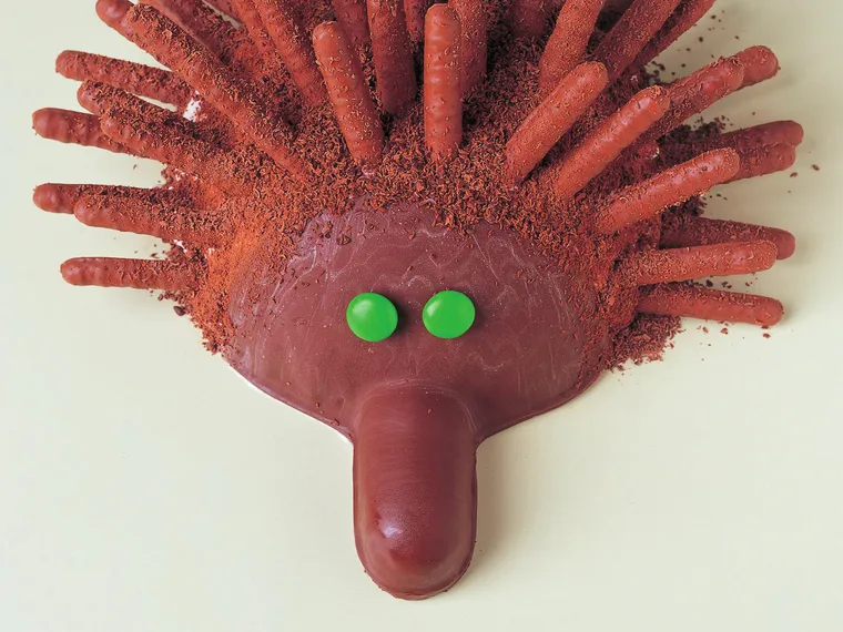 echidna ice-cream cake