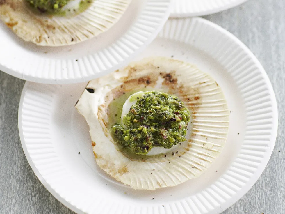 Scallops with warm rocket pesto