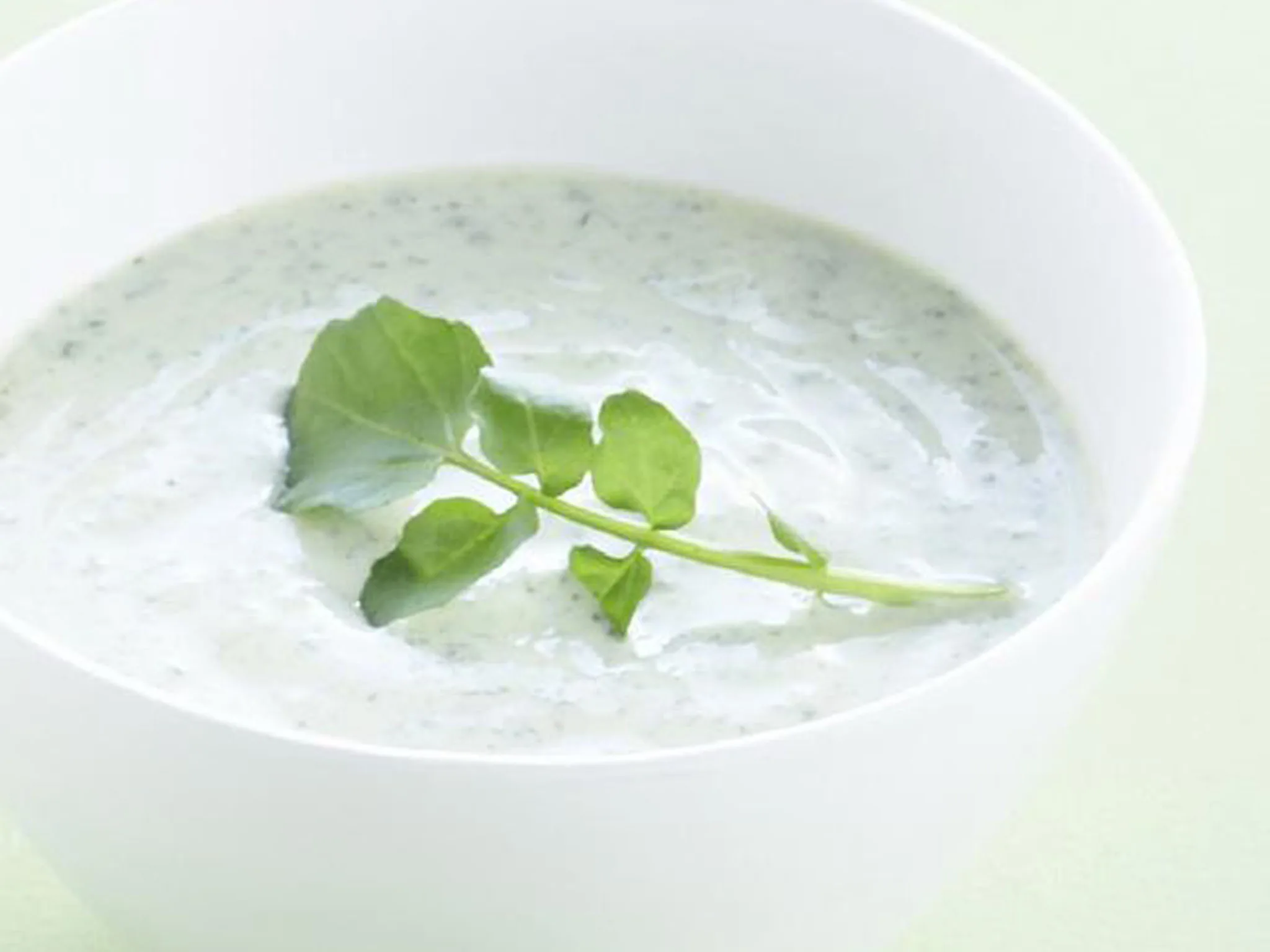 WATERCRESS AND YOGURT DIP