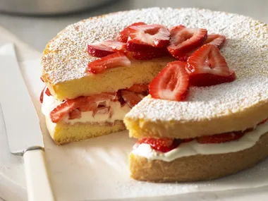 Genoise sponge