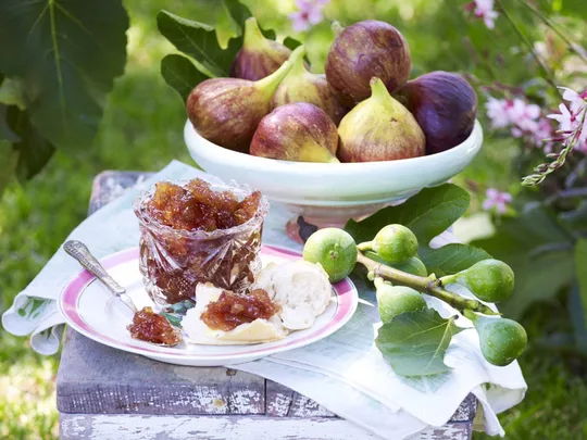 Chunky fig & vanilla jam