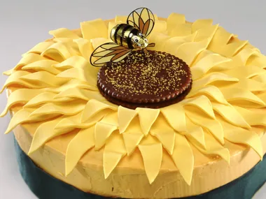 sunflower power