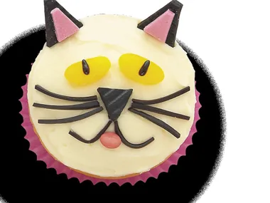 kitty cat