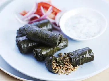 Stuffed vine leaves with yogurt dip