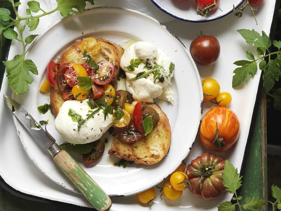 TOMATO BRUSCHETTA