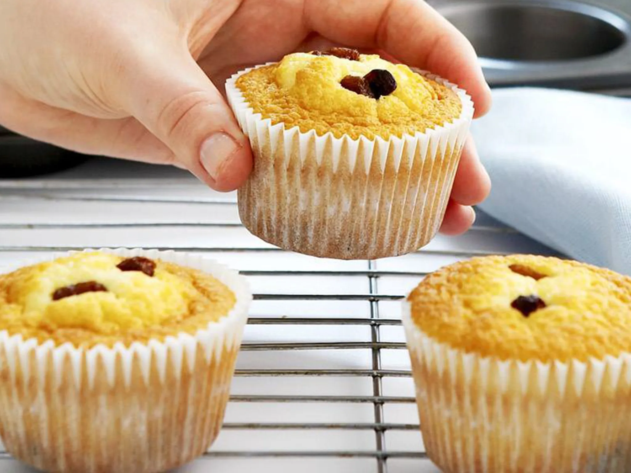 Sultana cupcakes with lemon icing