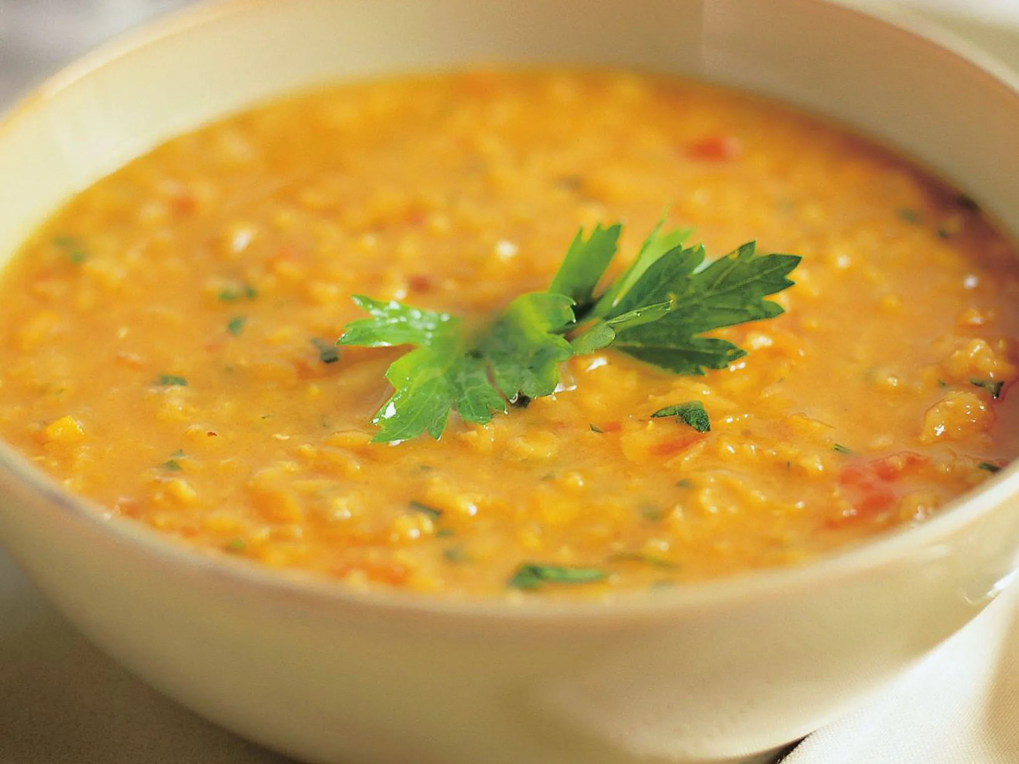 lentil soup