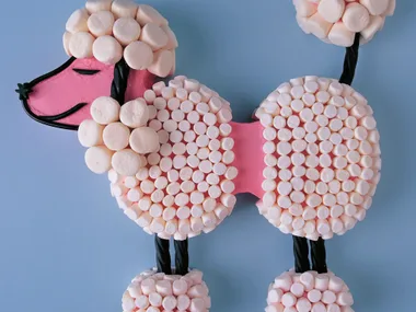 fifi the poodle cake