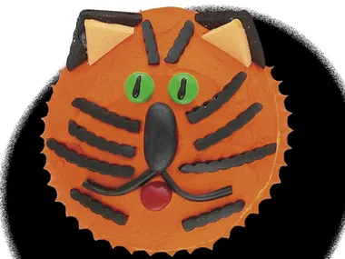terry tiger