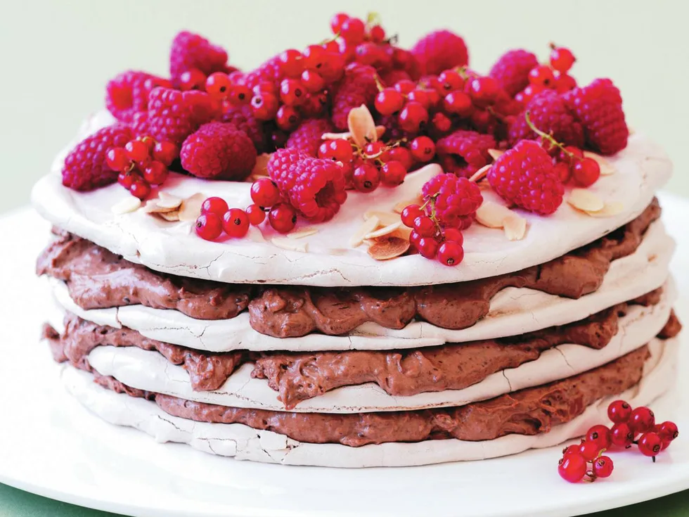 RICH CHOCOLATE MERINGUE AND MOUSSE CAKE