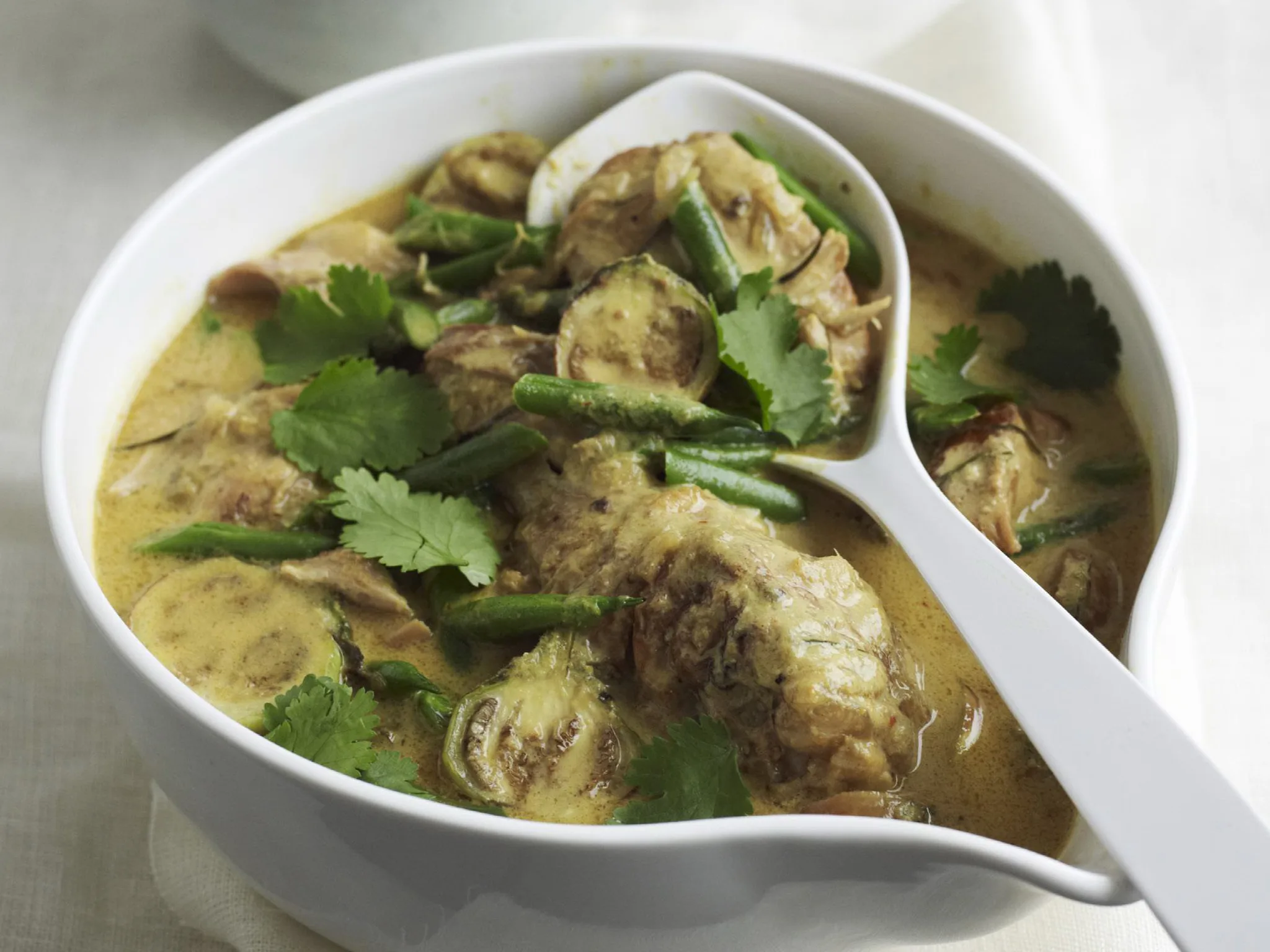 spiced chicken in coconut sauce