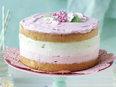 minty raspberry ice-cream cake