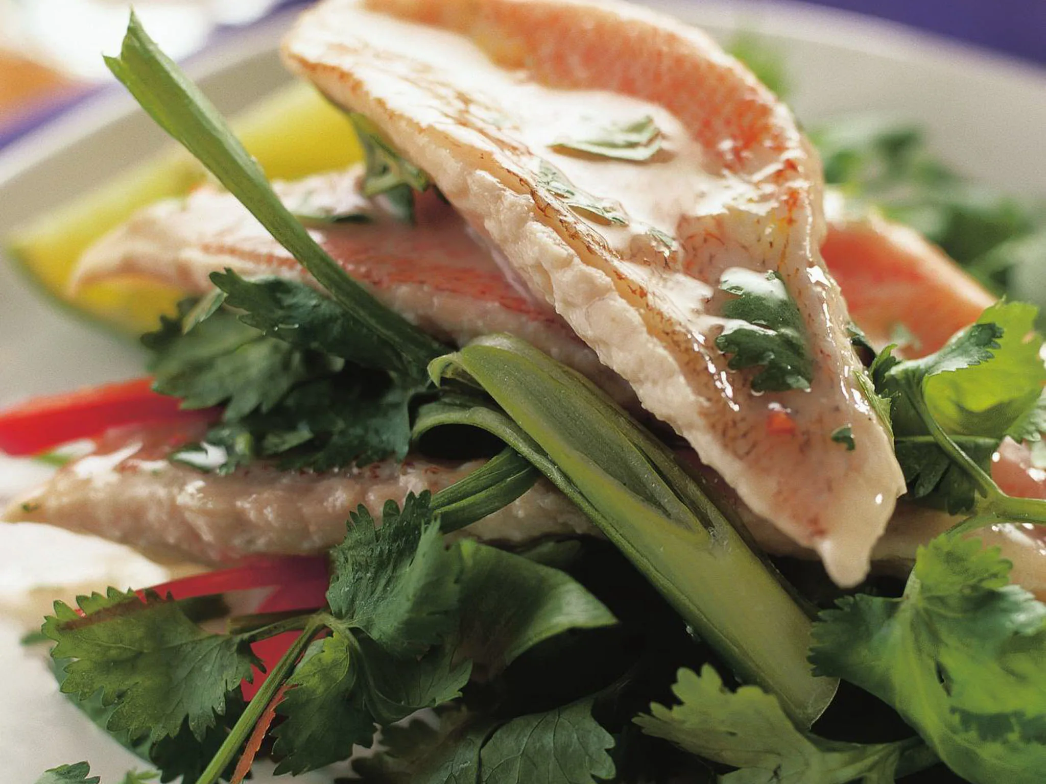 fish fillets with coriander sauce