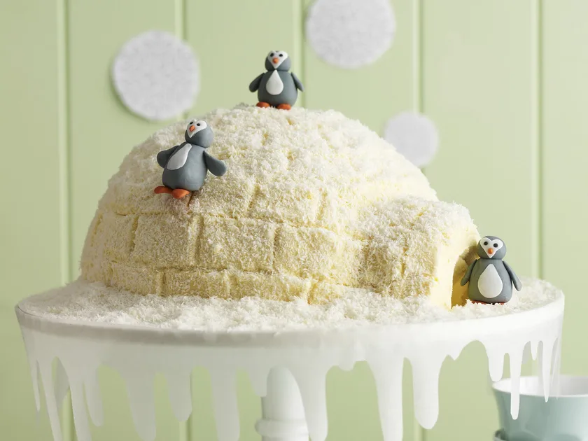 Igloo ice-cream cake | Women's Weekly Food