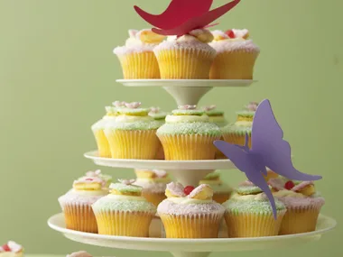 butterfly cakes