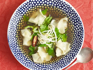 beef dumpling soup
