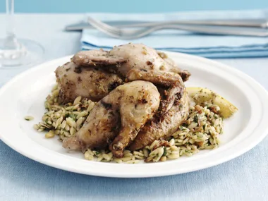 roasted chickens with dill and walnut pesto