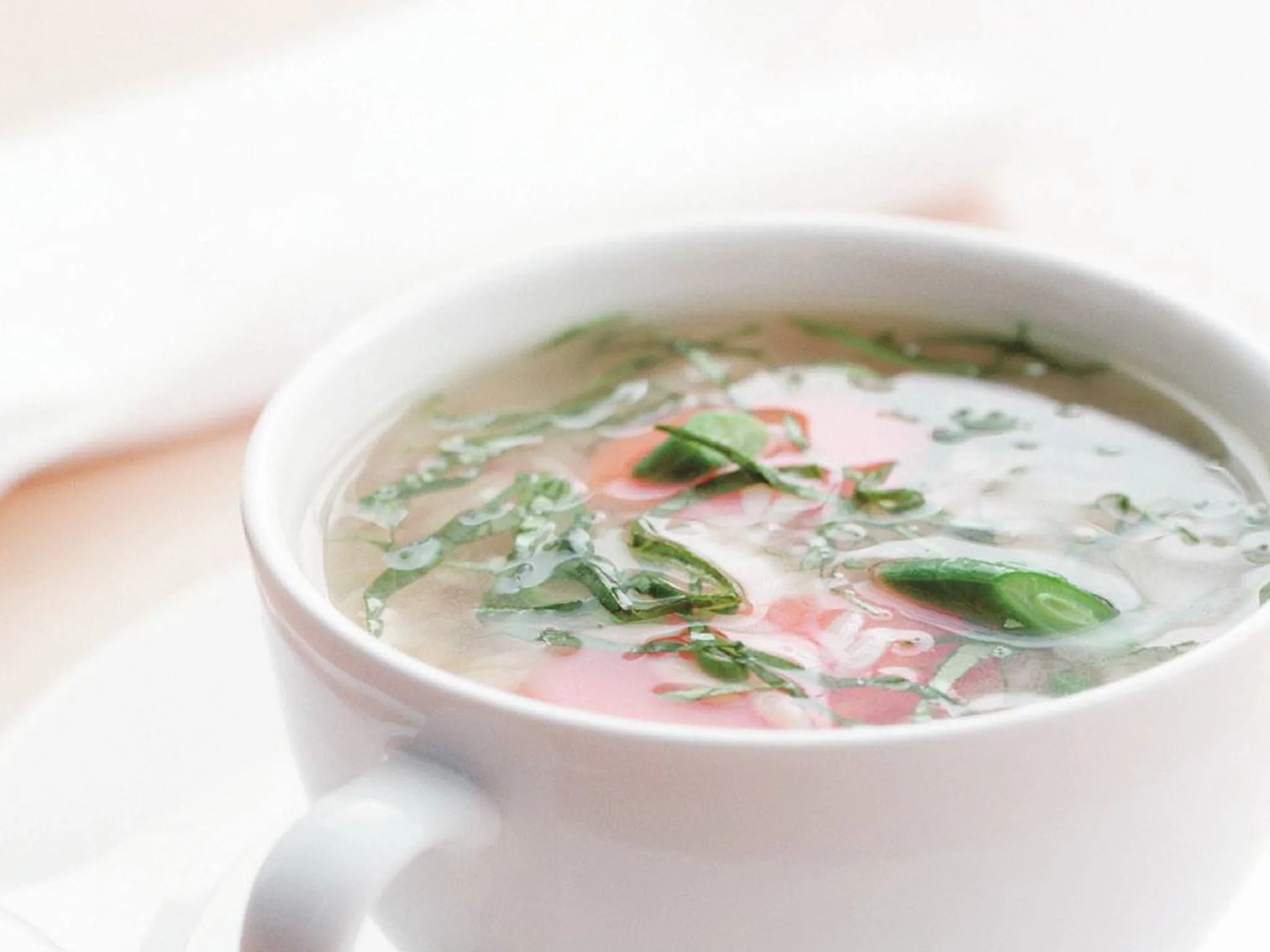 risoni and spring vegetable soup