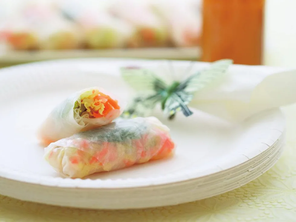 vegetable rice paper rolls