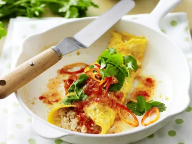 fried rice omelette