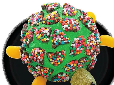 tommy tortoise cake