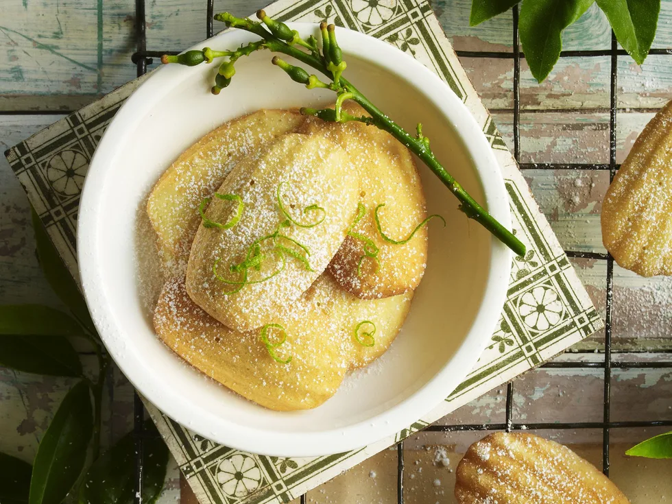 lime and vanilla madeleines