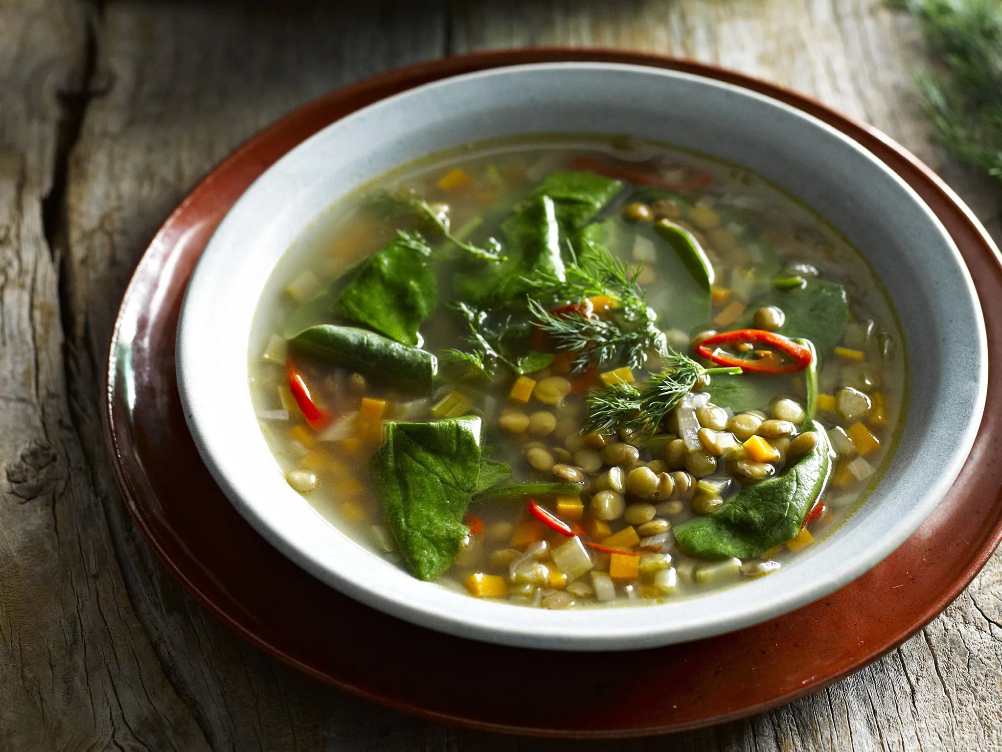 GREEK LENTIL, SPINACH    and Dill Soup