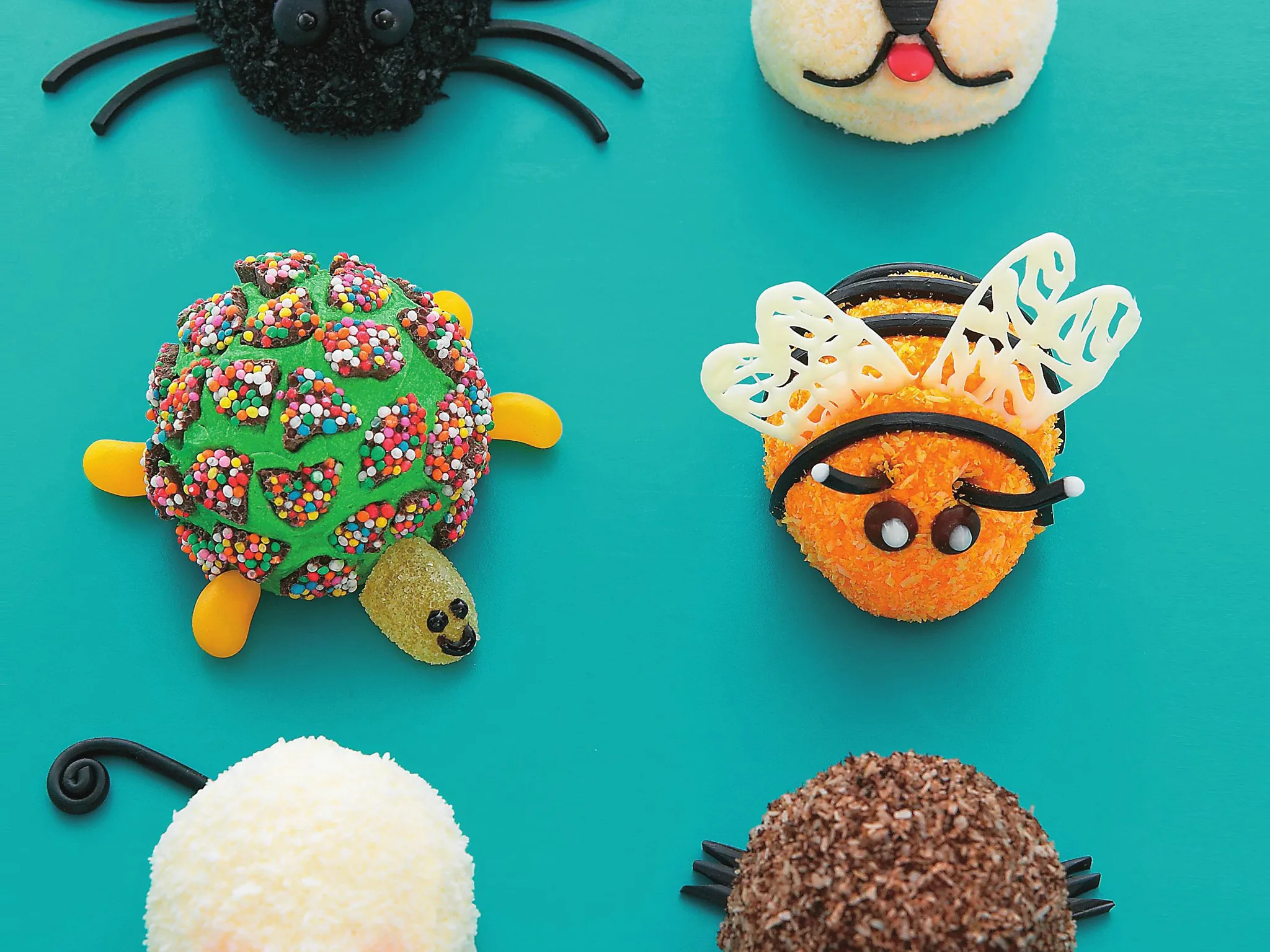 even m or e  animals