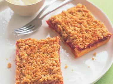 apple and rhubarb streusel slice