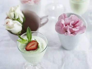 minted white chocolate mousse