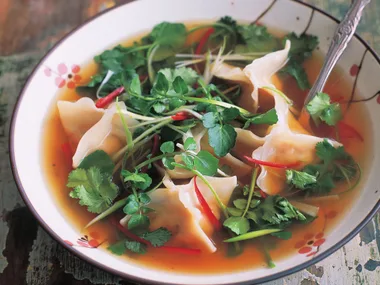 thai chicken broth with coriander wontons
