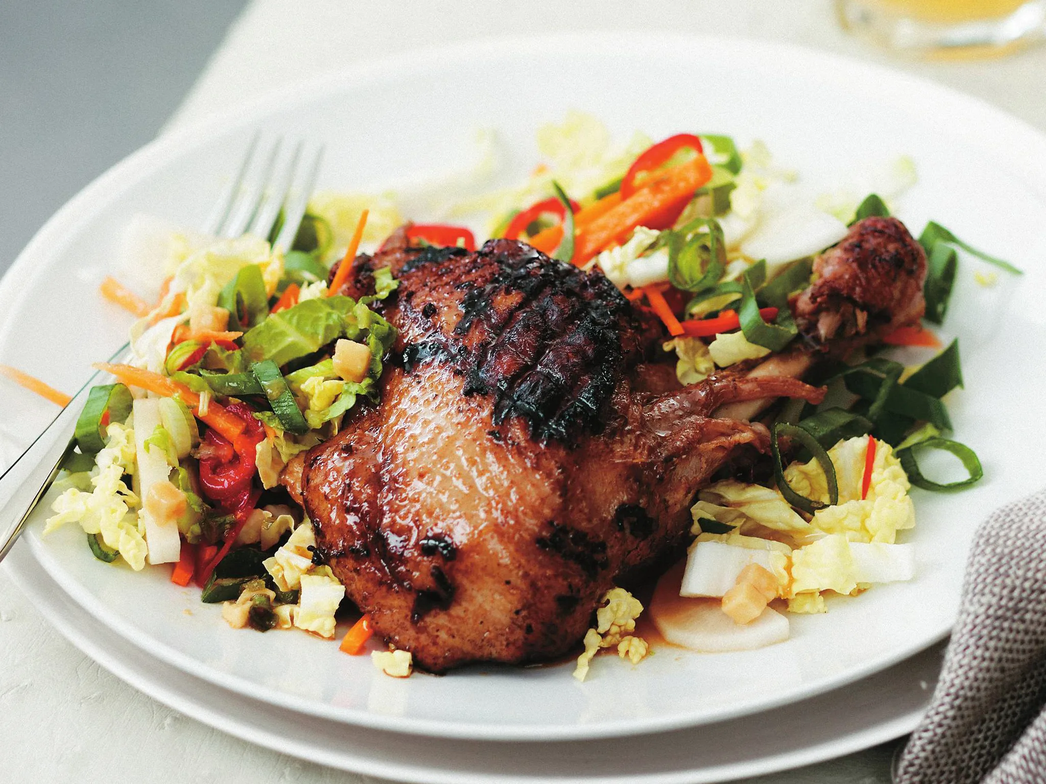 japanese-style duck with cabbage and daikon salad