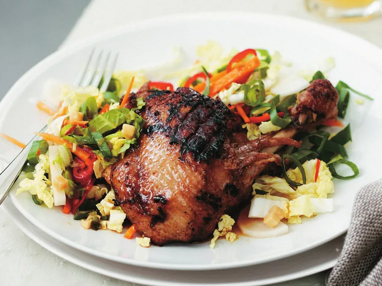 japanese-style duck with cabbage and daikon salad