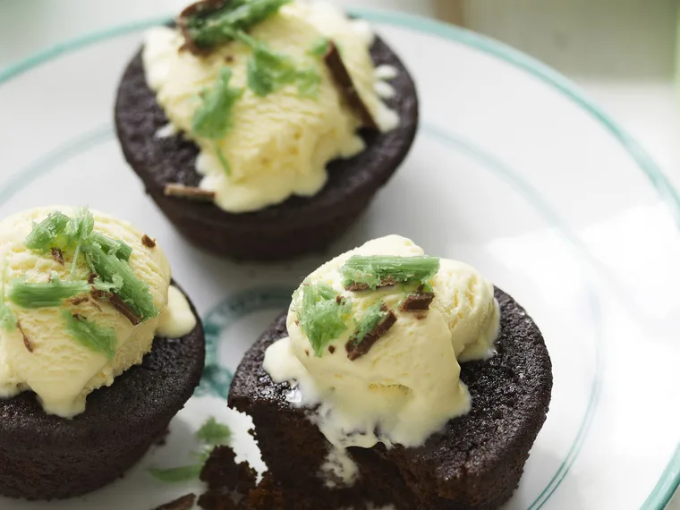 choc-mint mud cakes with ice-cream