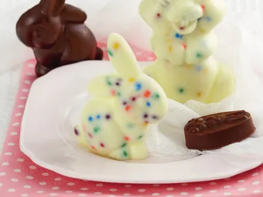 Chocolate moulds