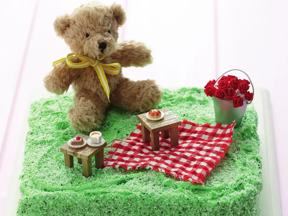 Teddy bear's picnic