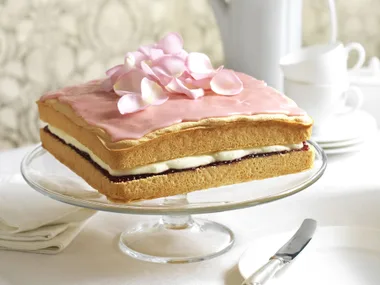 RASPBERRY SpongeCREAM