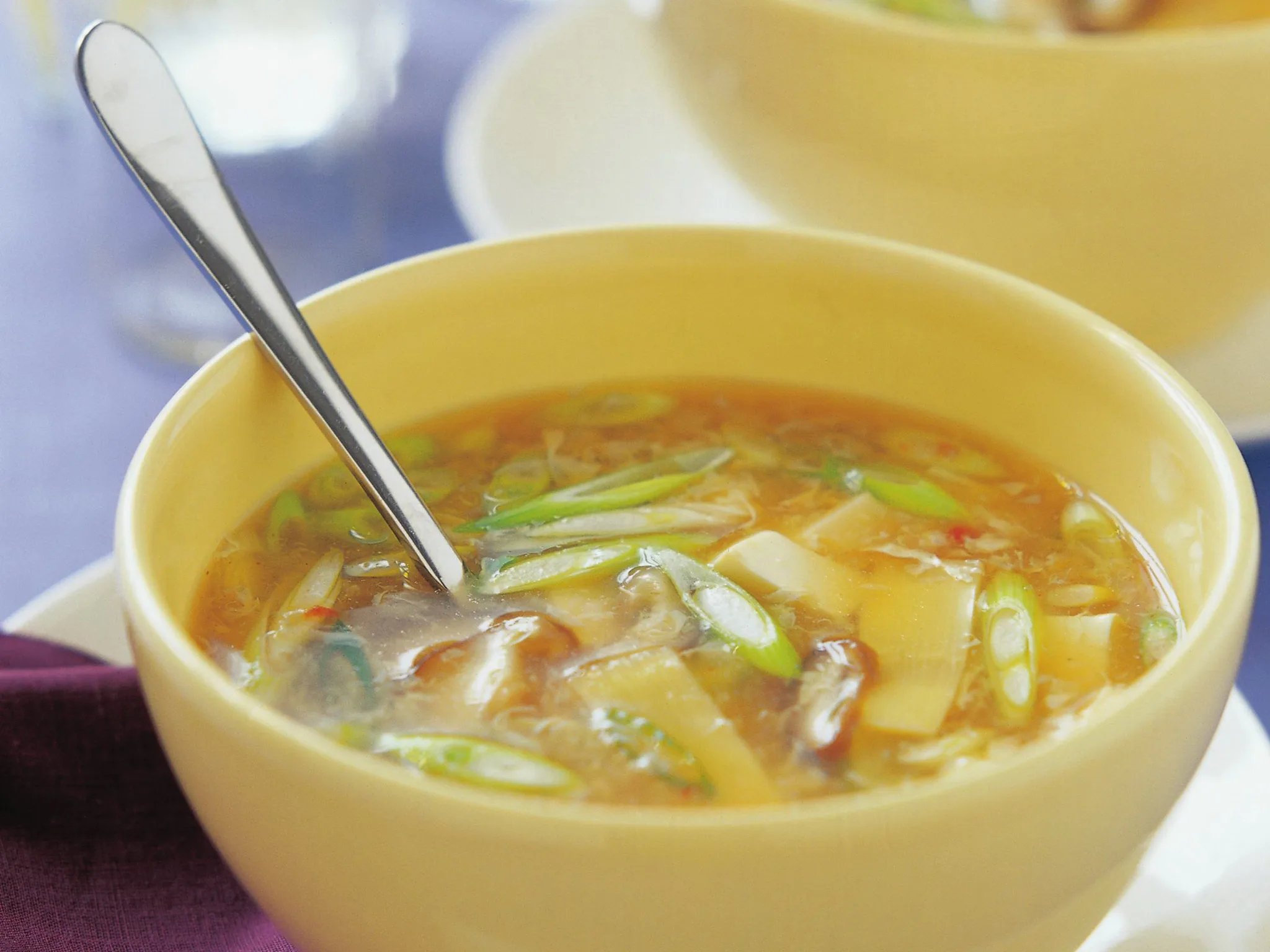 Hot and sour soup