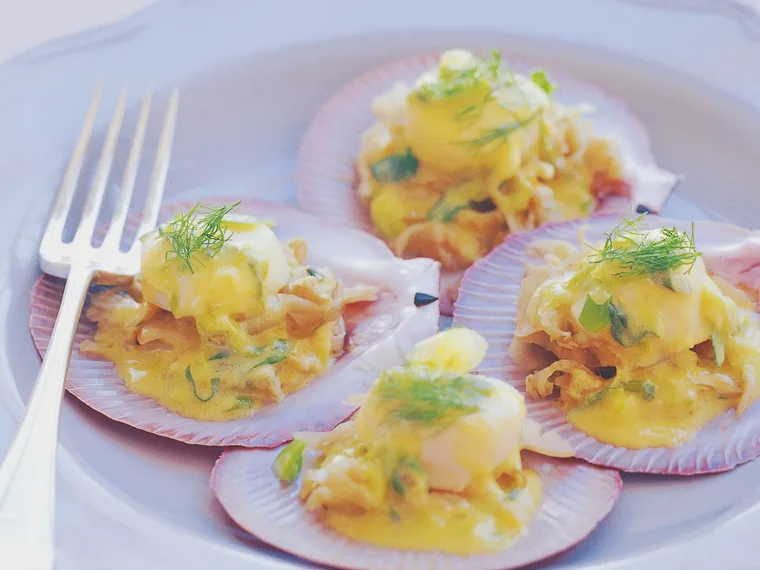 Scallops with fennel and pernod sauce