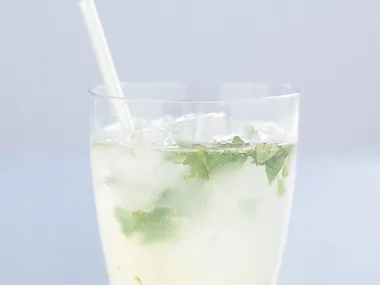 Lime and mint spritzer