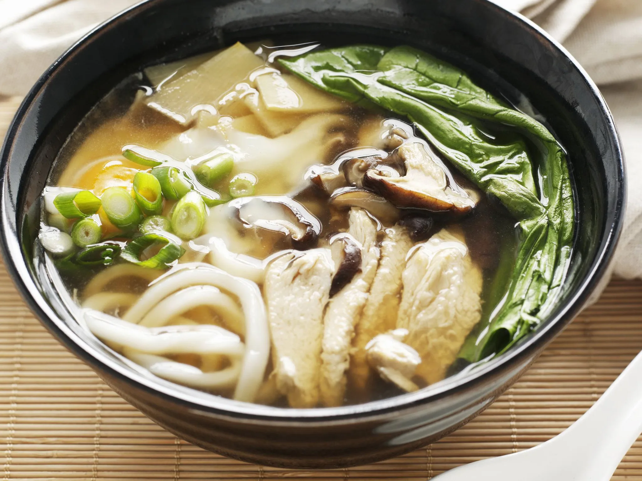 Udon noodle soup