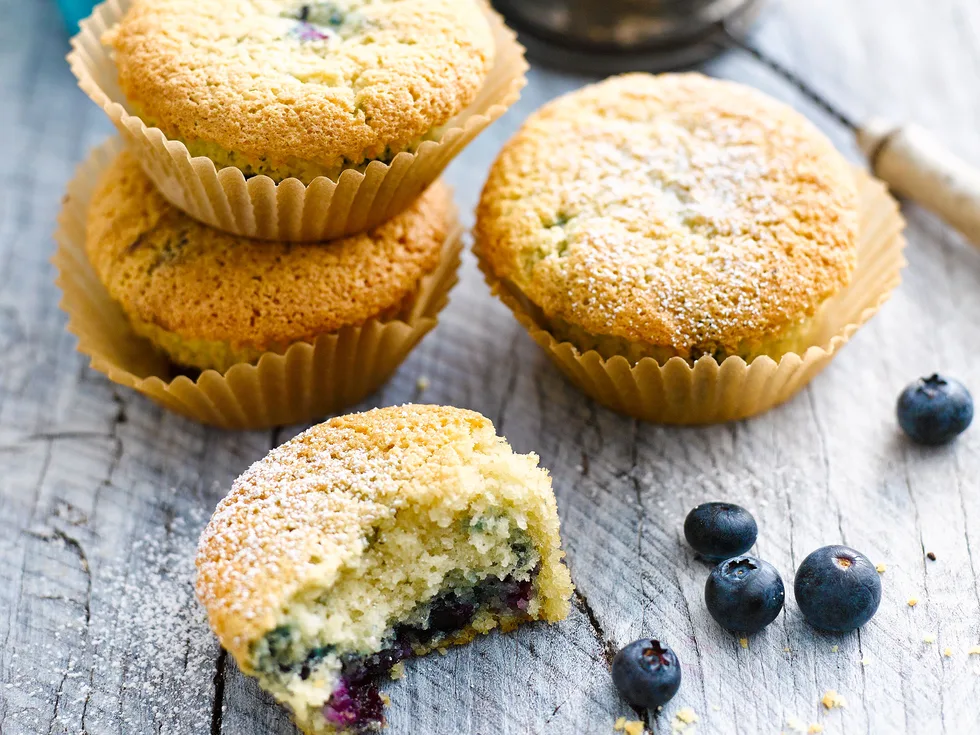 Blueberry cupcakes