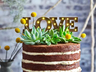 Coffee mousse layered chocolate naked cake