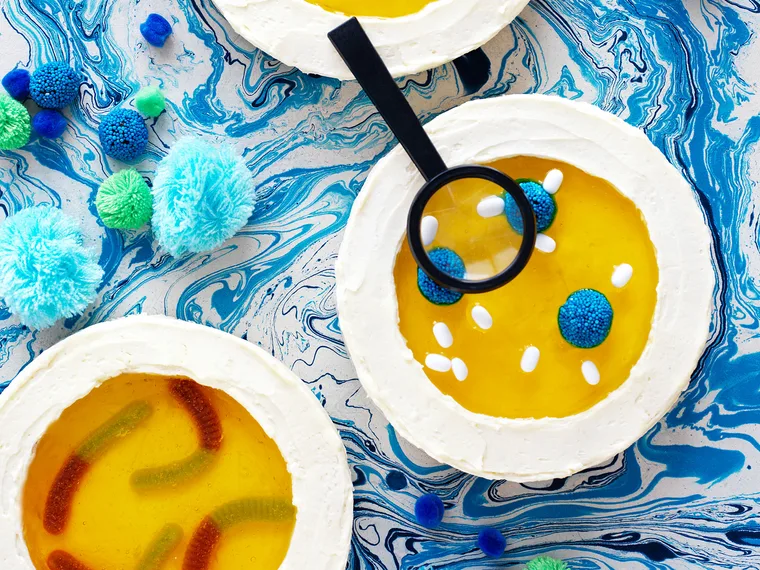 Petri dish cake